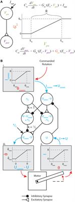 A Functional Subnetwork Approach to Designing Synthetic Nervous Systems That Control Legged Robot Locomotion